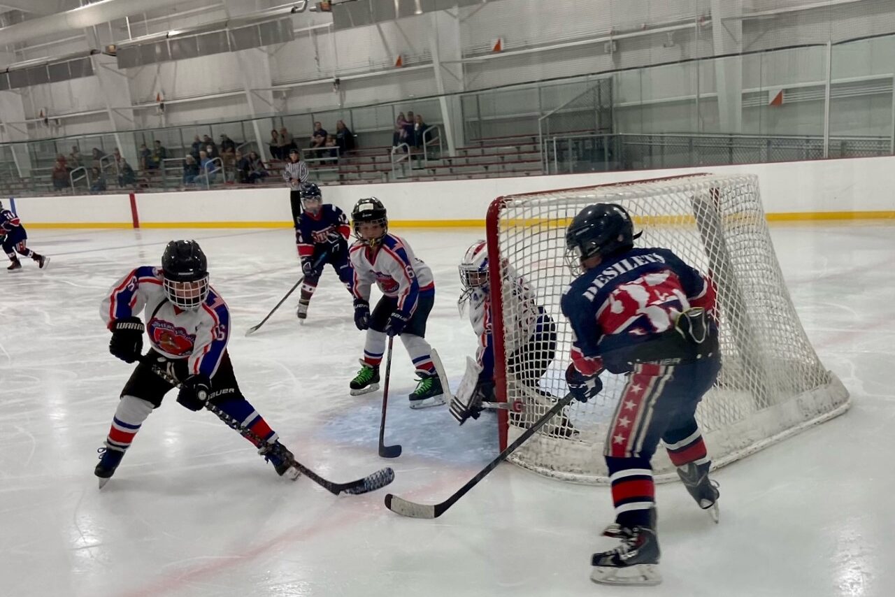 Coed Hockey Northern Virginia Hockey Club