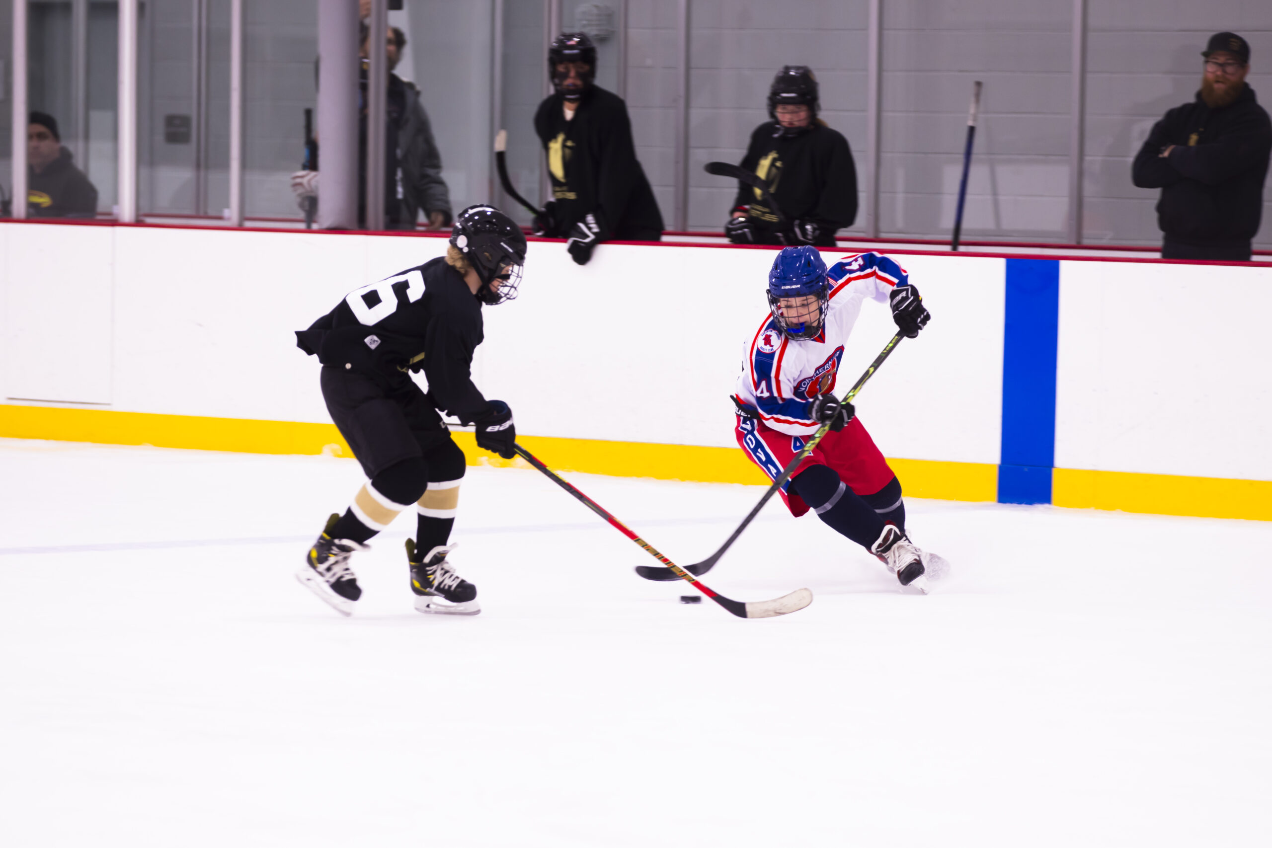 IceDogVsLoudon-43 IceDogVsLoudon-43