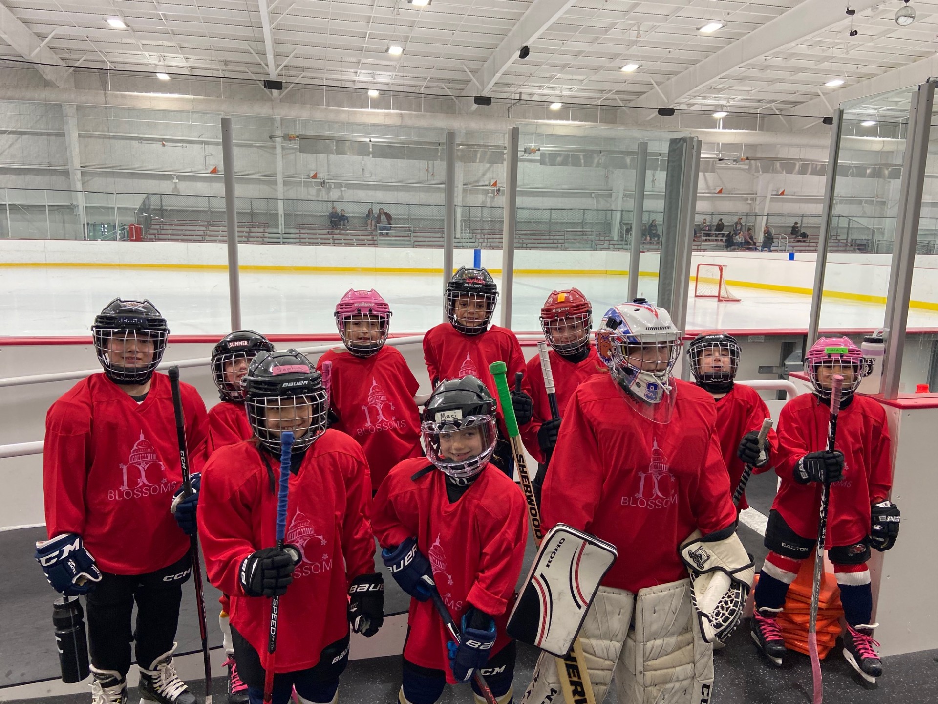 8U girls hockey players