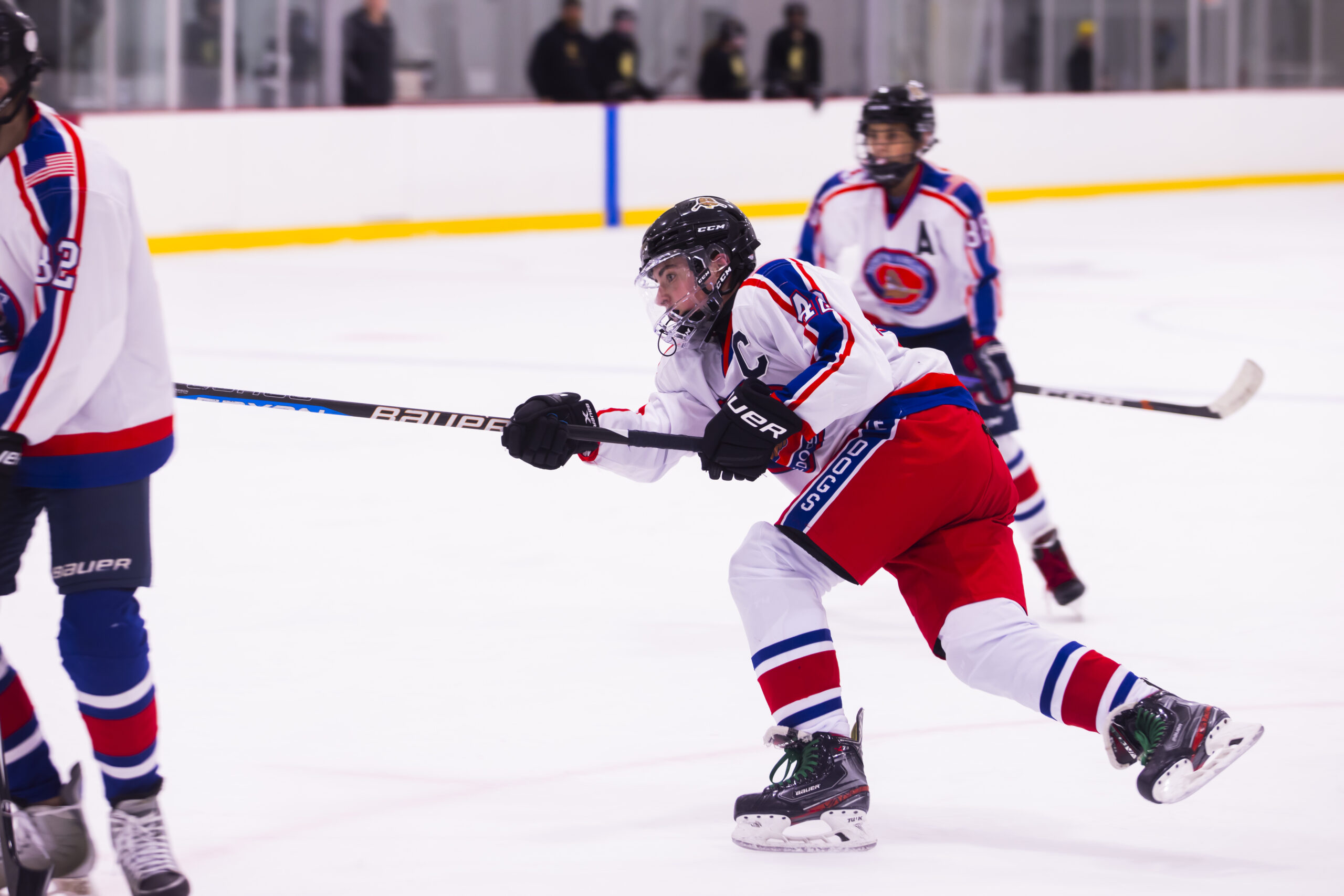 IceDogVsLoudon-73