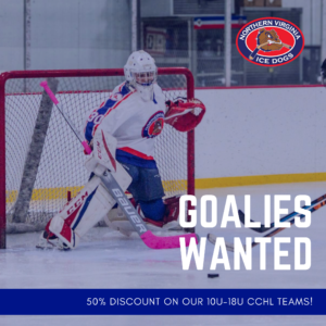 Image of a goalie in a hockey game