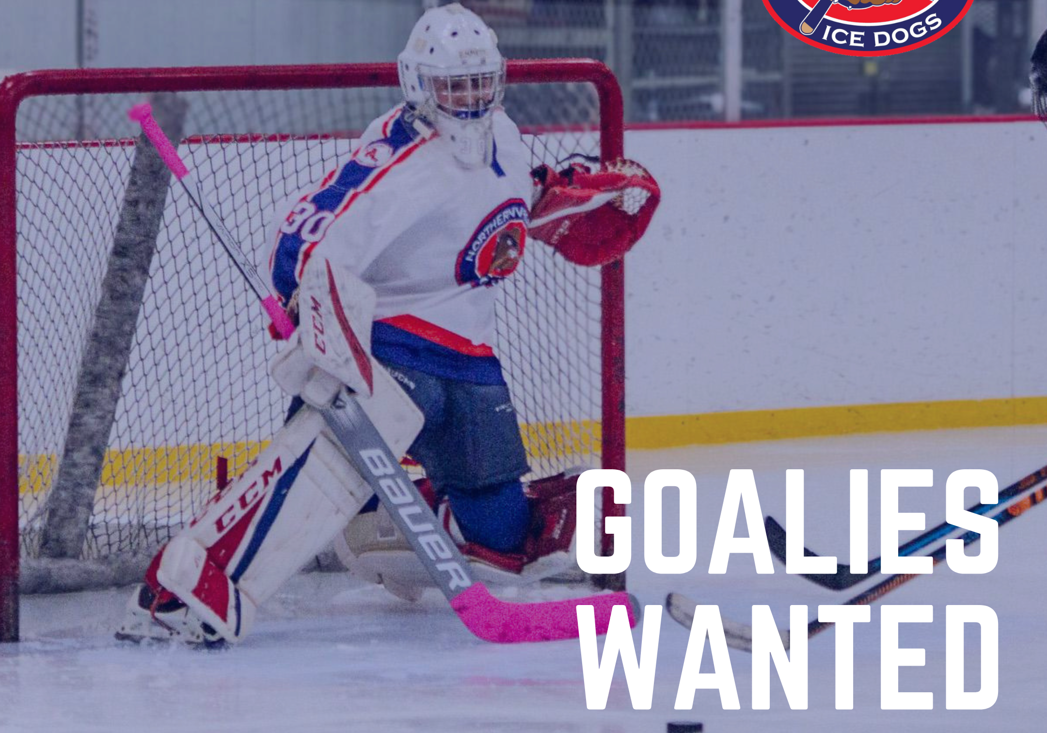 Image of a goalie in a hockey game