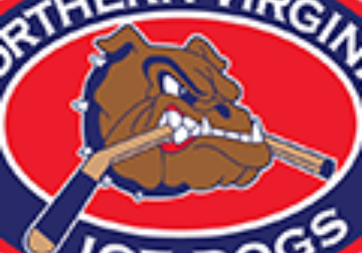 https://northernvirginiaicehockey.teamsnapsites.com/wp-content/uploads/sites/45/2022/11/cropped-4c31420ac114343af293bd785221d4c39aa310f9sld08_NOVAIceDogs_print_all-small.png